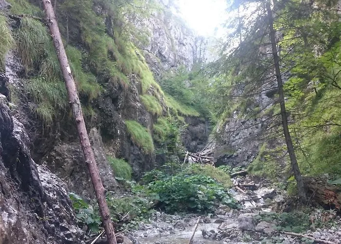 Pohoda Cingov Slovensky Raj Spišské Tomášovce